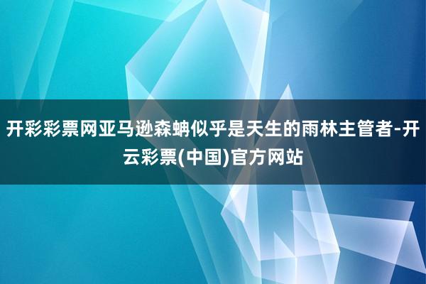 开彩彩票网亚马逊森蚺似乎是天生的雨林主管者-开云彩票(中国)官方网站